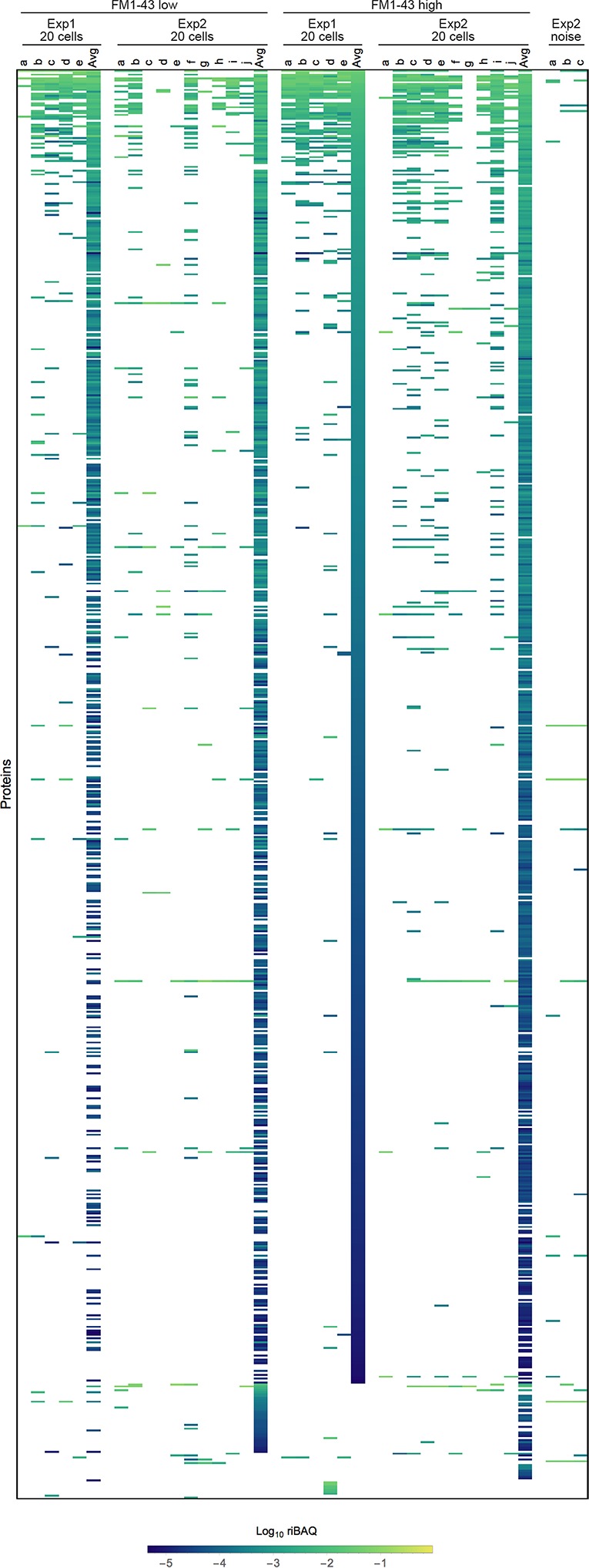 Figure 2—figure supplement 3.