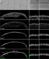 Figure 3—figure supplement 2.