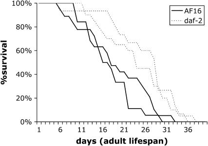 Figure 5.—