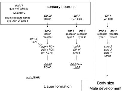 Figure 1.—