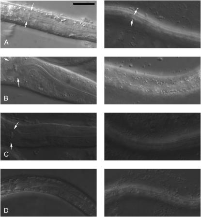 Figure 2.—