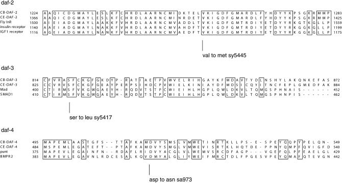 Figure 4.—