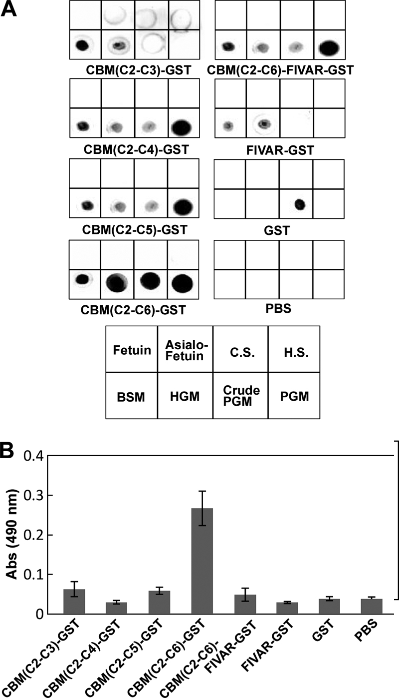 FIGURE 4.