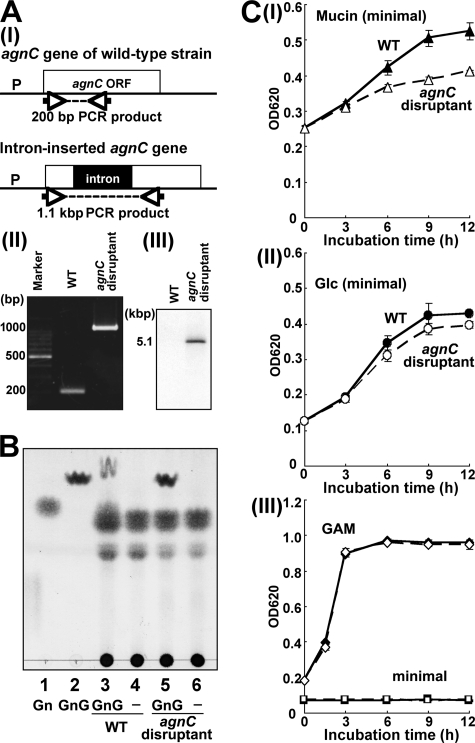 FIGURE 7.