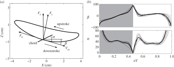 Figure 7.