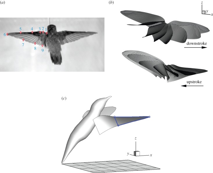 Figure 1.