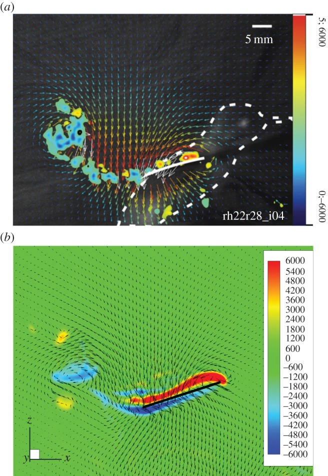 Figure 3.