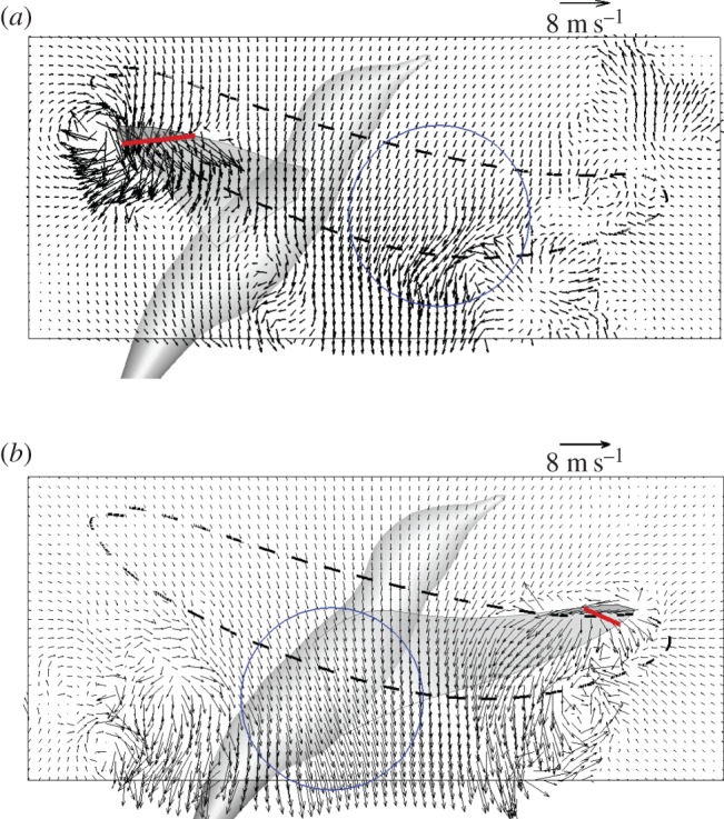 Figure 10.