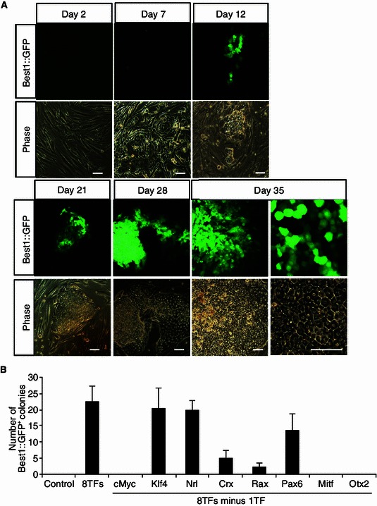 Figure 4