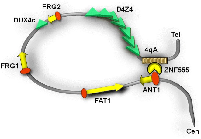 Figure 9.