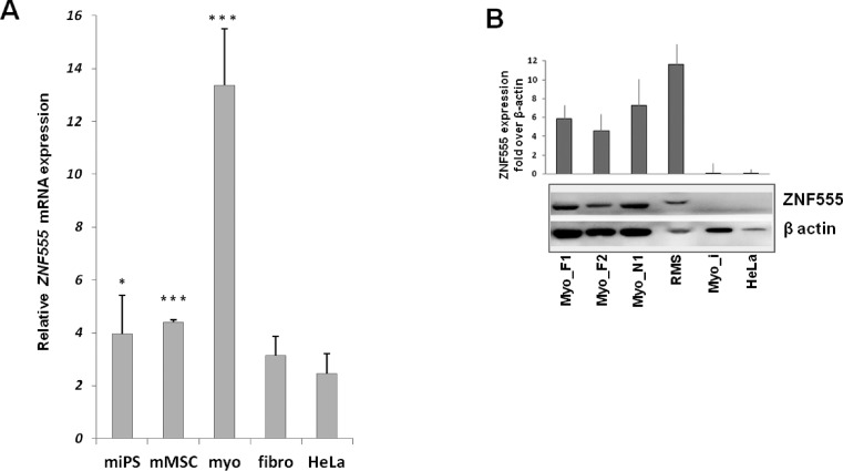 Figure 5.