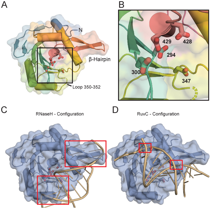 Figure 5.