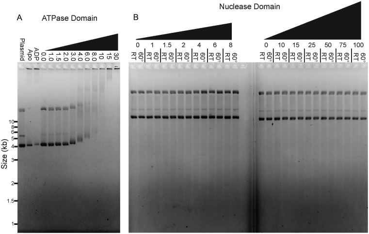 Figure 7.