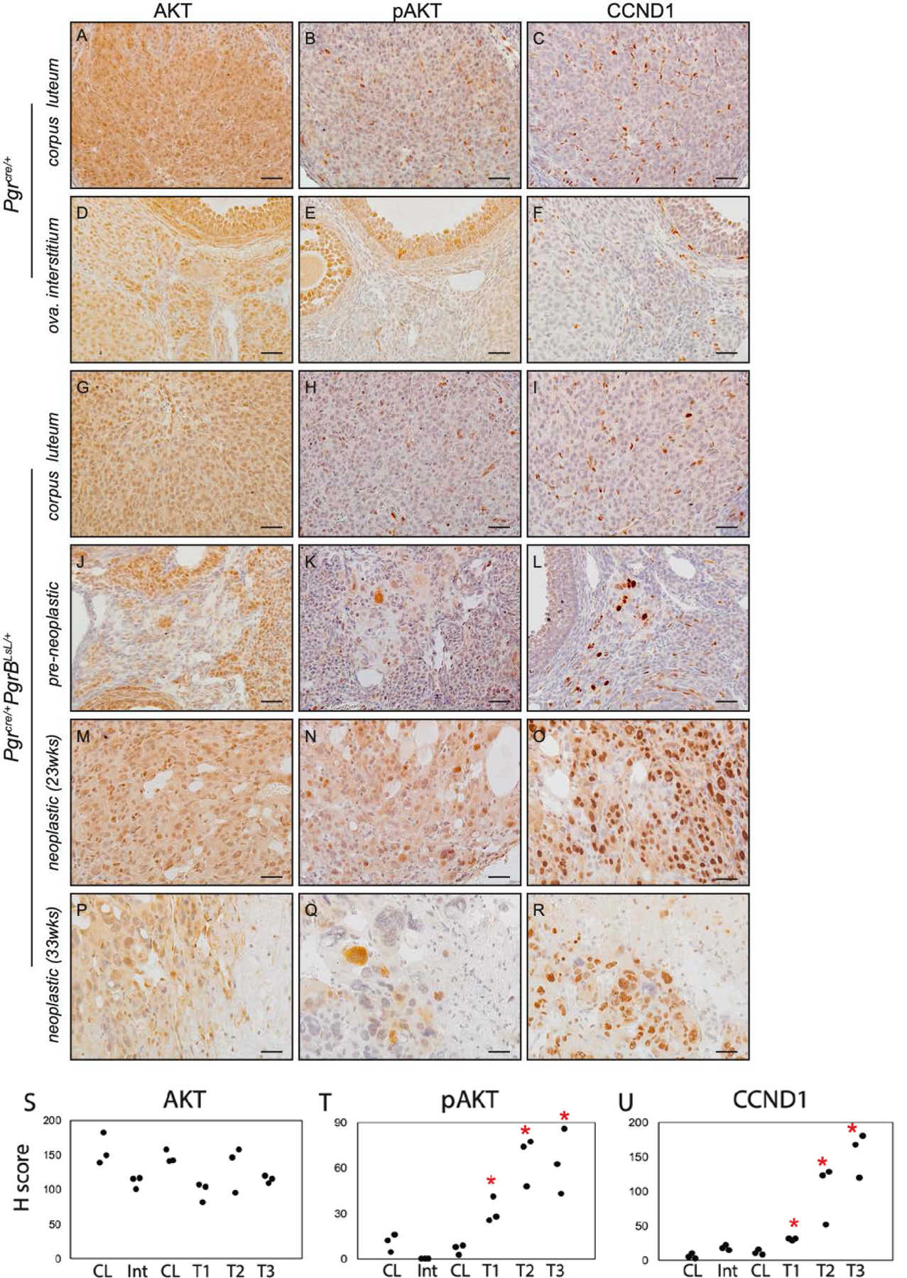 Figure 4: