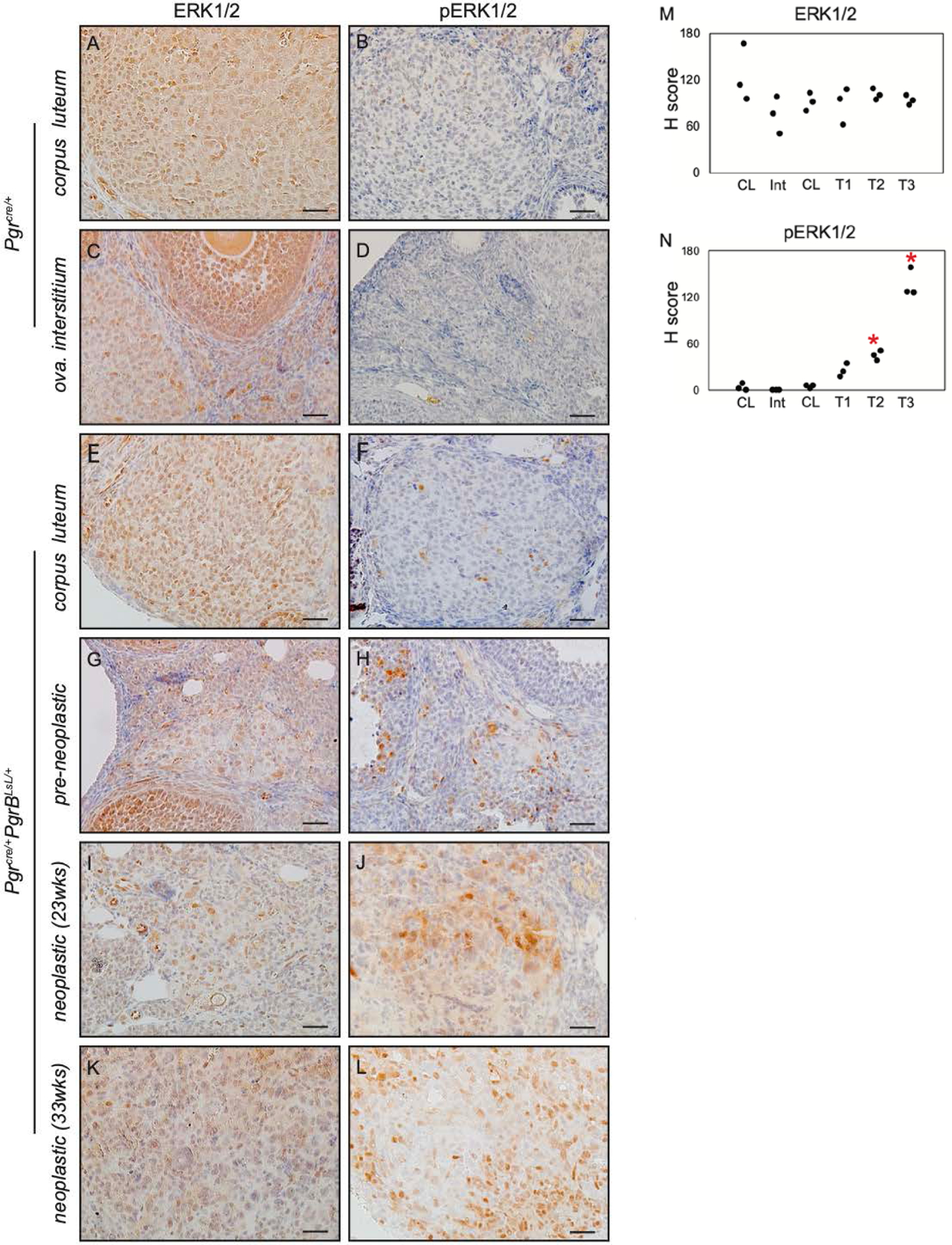 Figure 5: