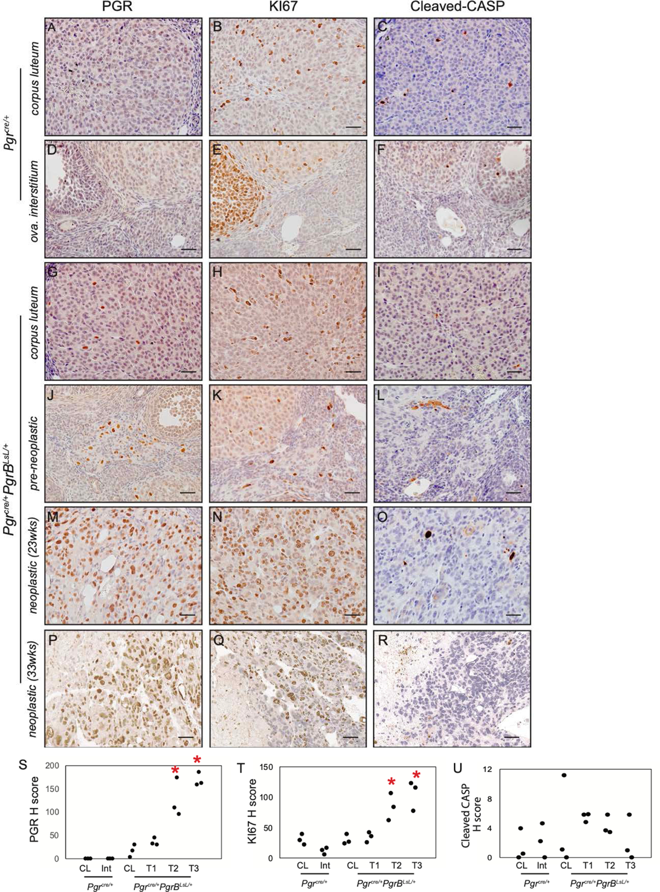 Figure 2: