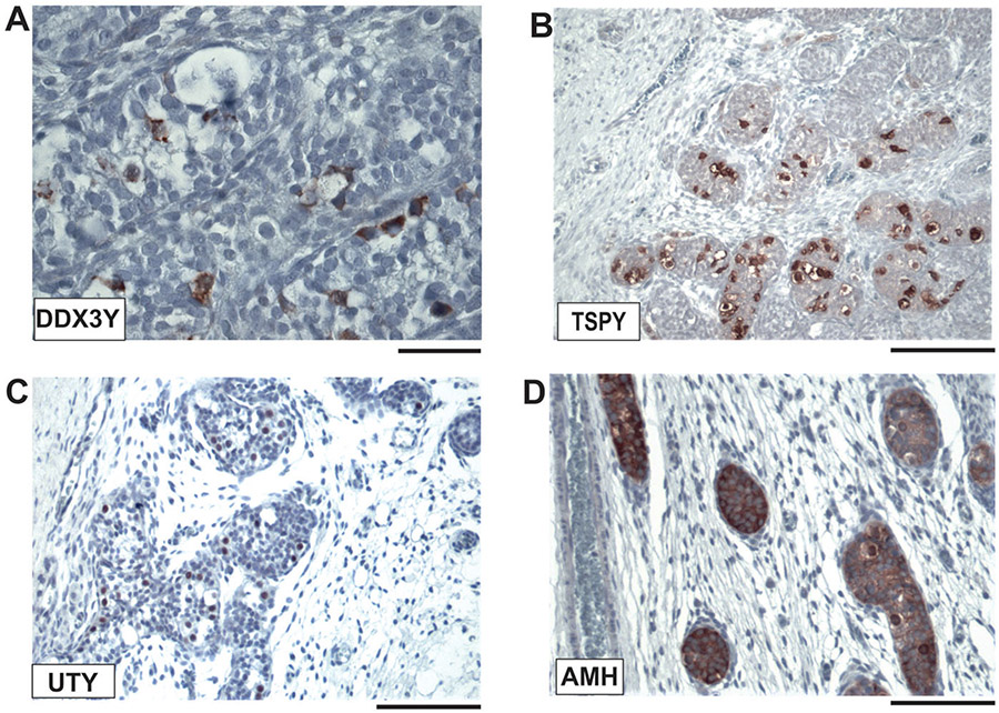 Figure 5.