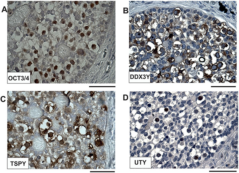 Figure 6.