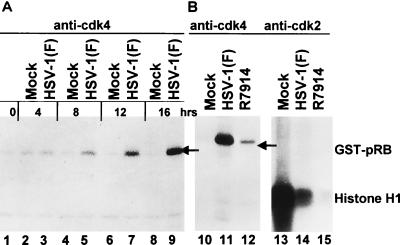 FIG. 5