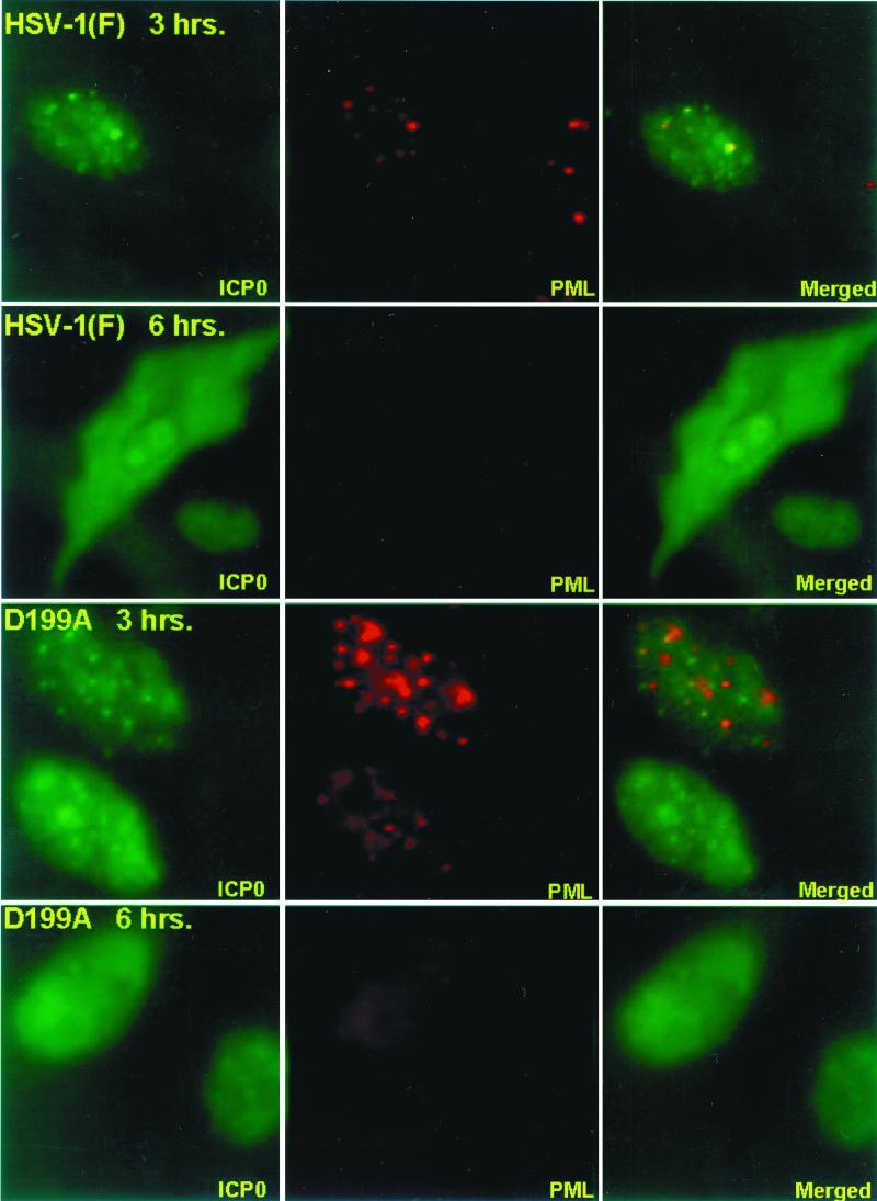 FIG. 10