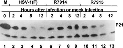 FIG. 6