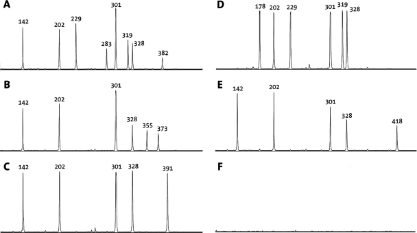 FIG. 2.