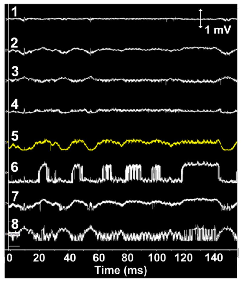 Fig. 16