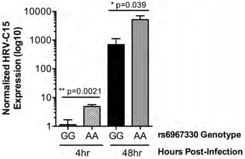 Figure 4: