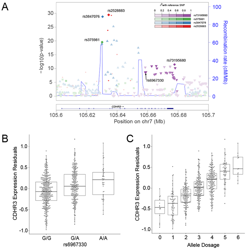 Figure 5: