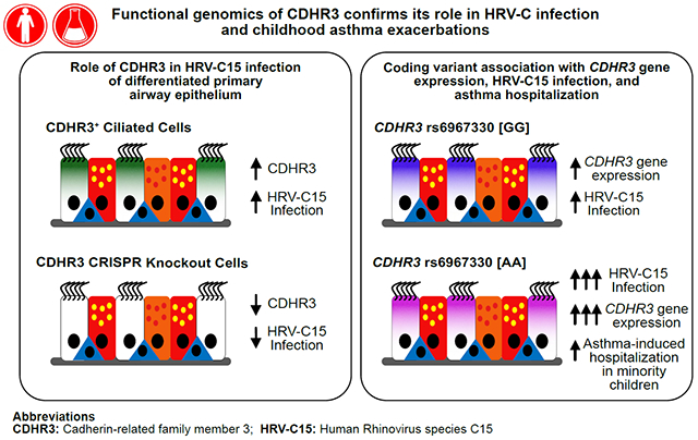 graphic file with name nihms-1525689-f0006.jpg