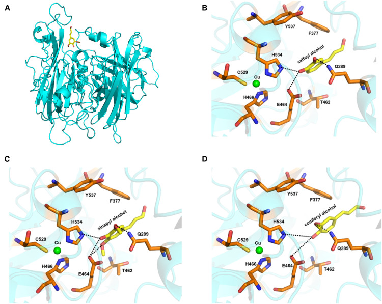 Figure 3.