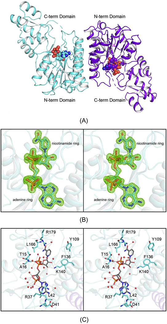 Figure 7.