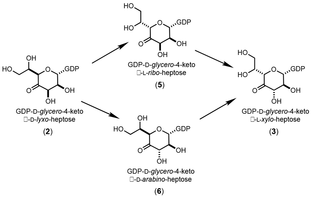 Scheme 3: