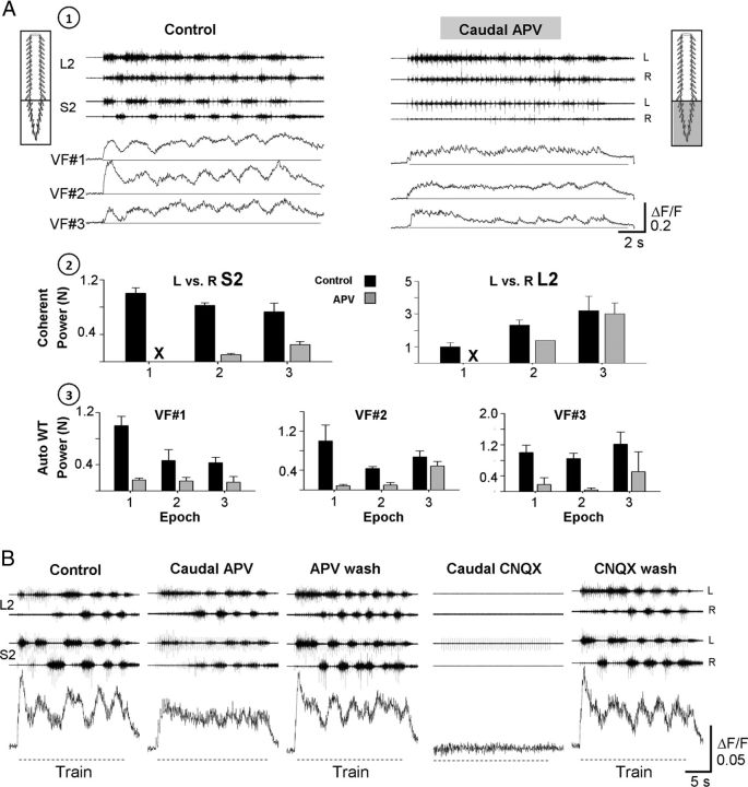 Figure 10.