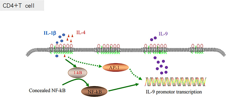 Figure 4