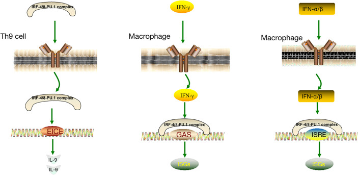 Figure 3