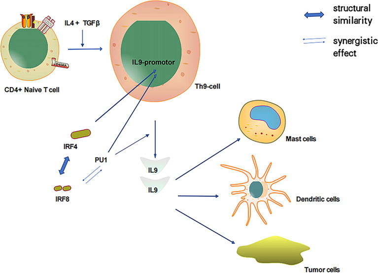 Figure 2