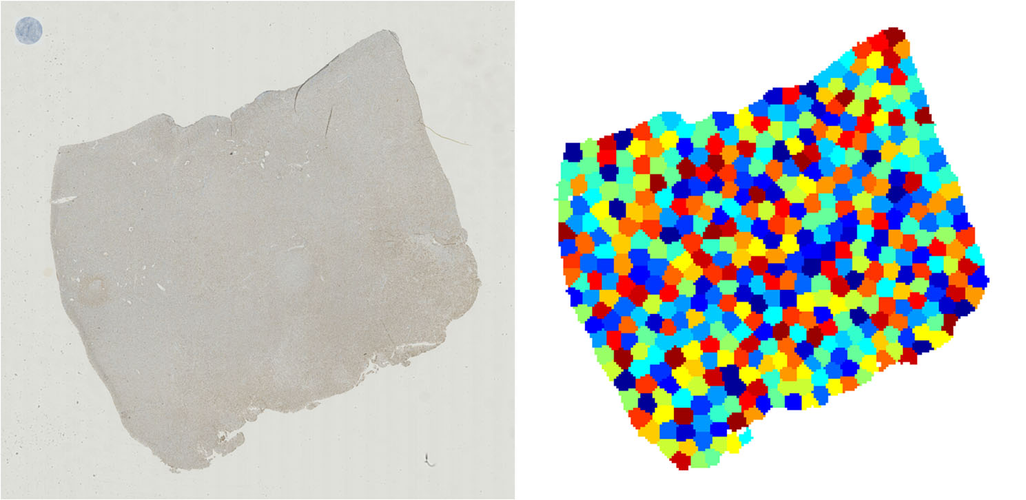 Fig. 3