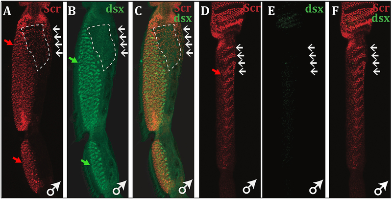 Figure 3.