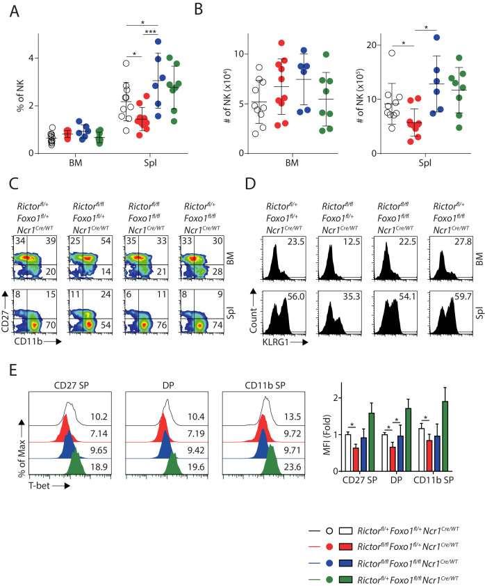 Figure 7—figure supplement 1.