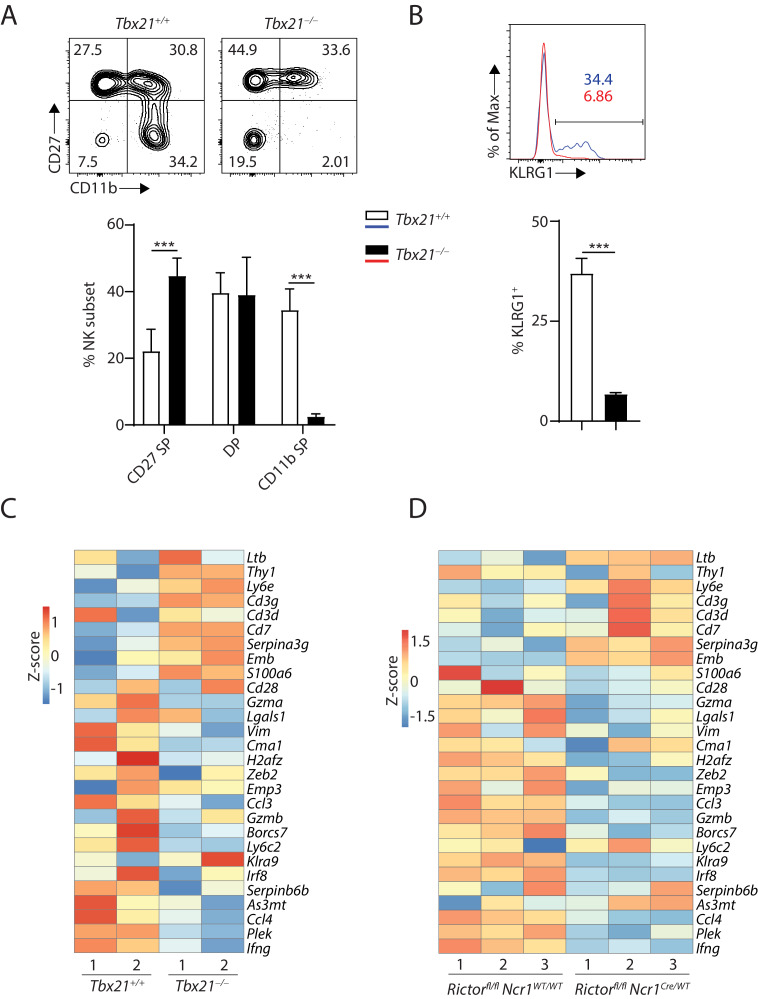 Figure 5—figure supplement 2.