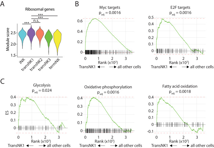 Figure 1—figure supplement 2.