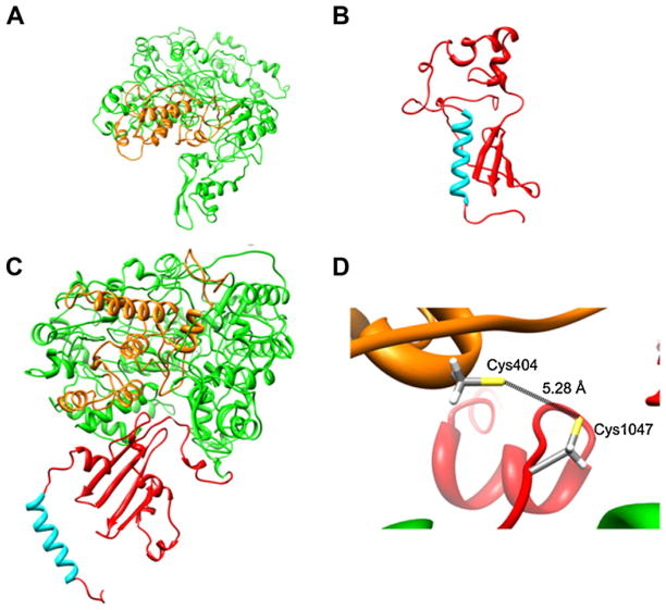 Fig. 7