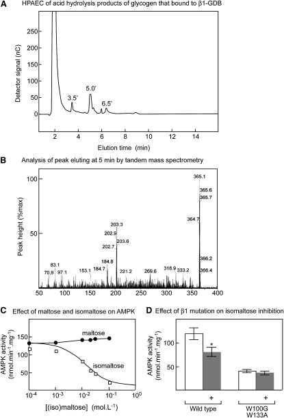 Figure 5