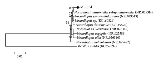 Figure 1