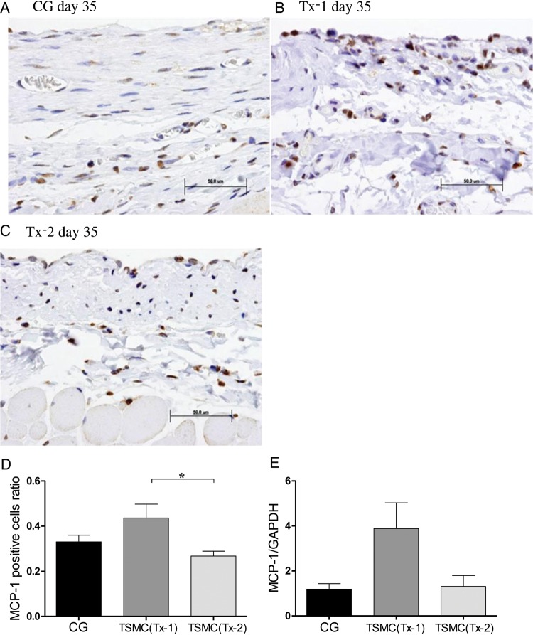 FIGURE 4: