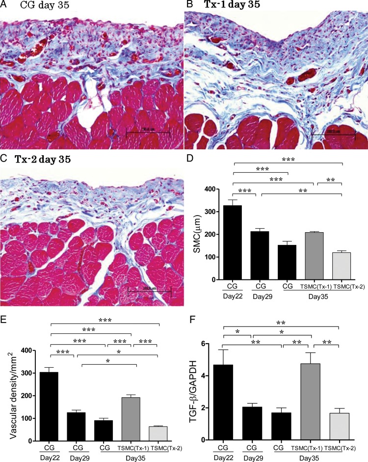 FIGURE 2: