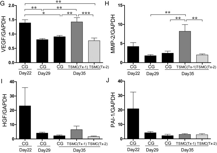 FIGURE 2: