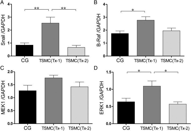 FIGURE 6: