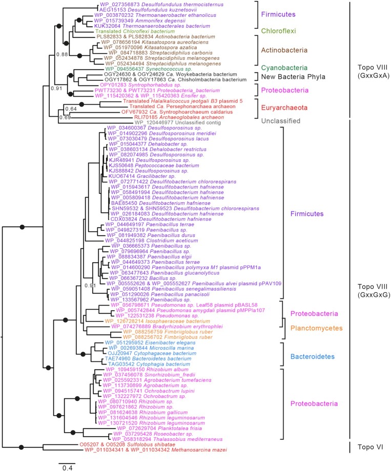 Figure 6.